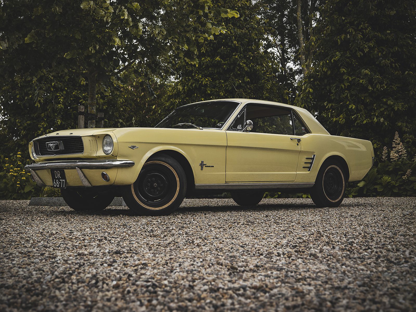Old Timers
