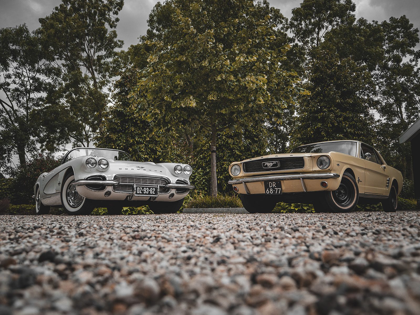 Old Timers